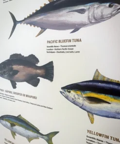 Just Another Fisherman Apparel HOME OF THE SALTY ANGLERS PRINT - FRAMED