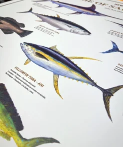 Just Another Fisherman HOME OF THE SALTY ANGLERS PRINT Apparel