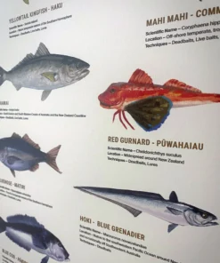 Just Another Fisherman Apparel HOME OF THE SALTY ANGLERS PRINT - FRAMED