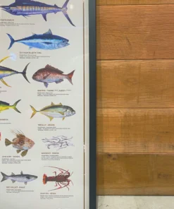 Just Another Fisherman Apparel HOME OF THE SALTY ANGLERS PRINT - FRAMED