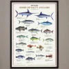Just Another Fisherman Apparel HOME OF THE SALTY ANGLERS PRINT - FRAMED