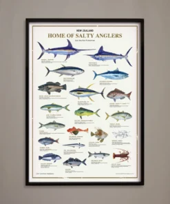 Just Another Fisherman Apparel HOME OF THE SALTY ANGLERS PRINT - FRAMED